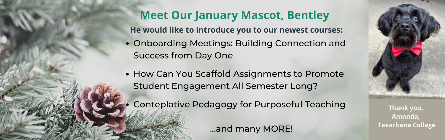 Meet our January mascot, Bently. Thank you, Amanada, from Texarkana College. He would like to introduce our newest courses - Onboarding Meetings: Building Connection and Success from Day One, How Can You Scaffold Assignments to Promote Student Engagement All Semester Long?, Contemplative Pedagogy for Purposeful Teaching ... and many more!