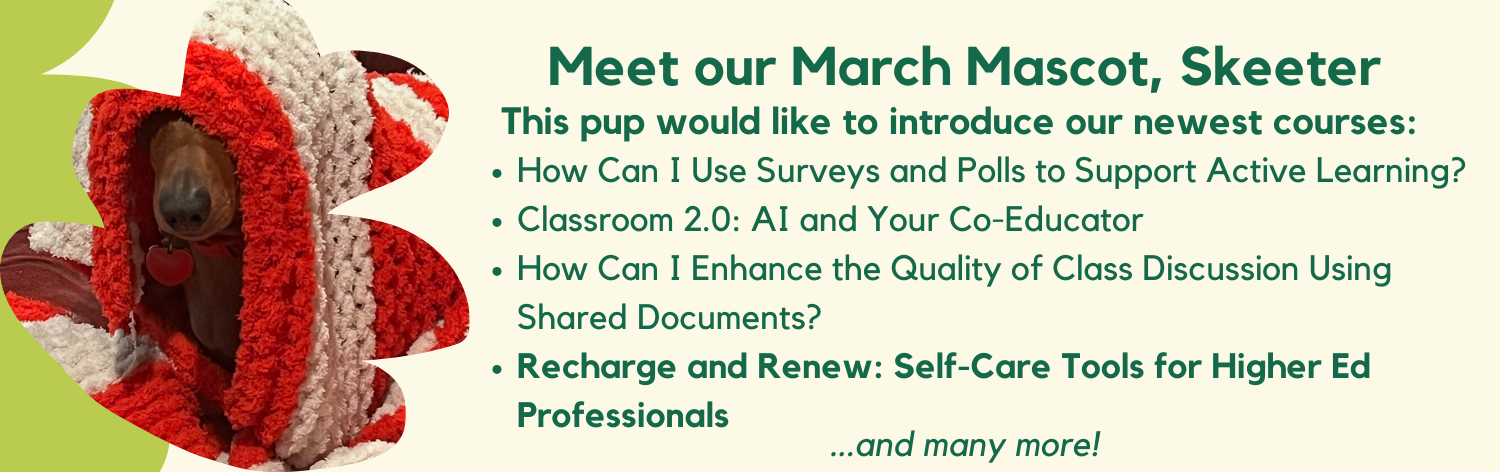 Meet our mascot, Skeeter. This pup would like to introduce you to our newest courses: How Can I Use Surveys and Polls to Support Active Learning?, Classroom 2.0: AI and Your Co-Educator, How Can I Enhance the Quality of Class Discussion Using Shared Documents?, Recharge and Renew: Self-Care Tools for Higher Ed Professionals ... and many more!